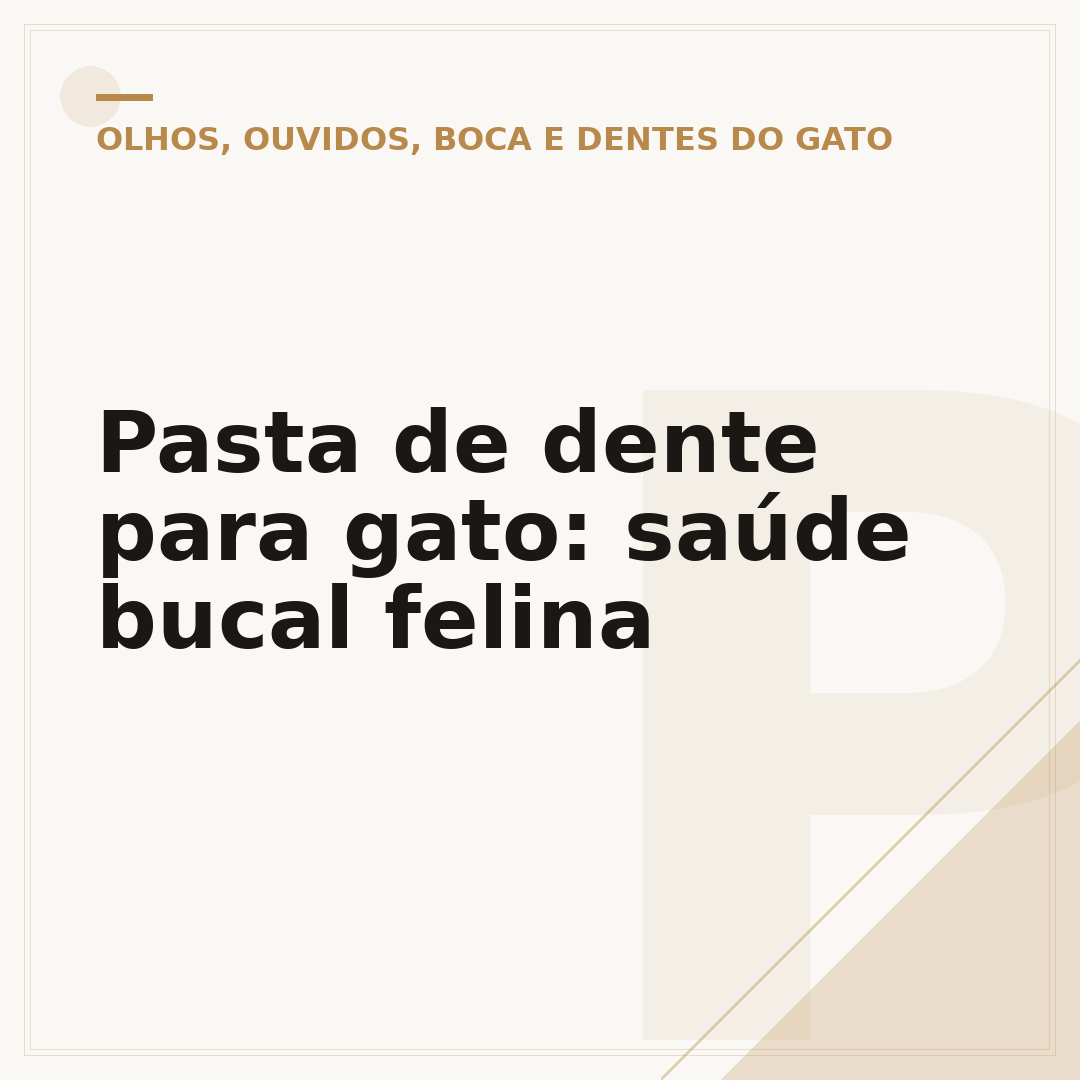 Pasta de dente para gato: saúde bucal felina