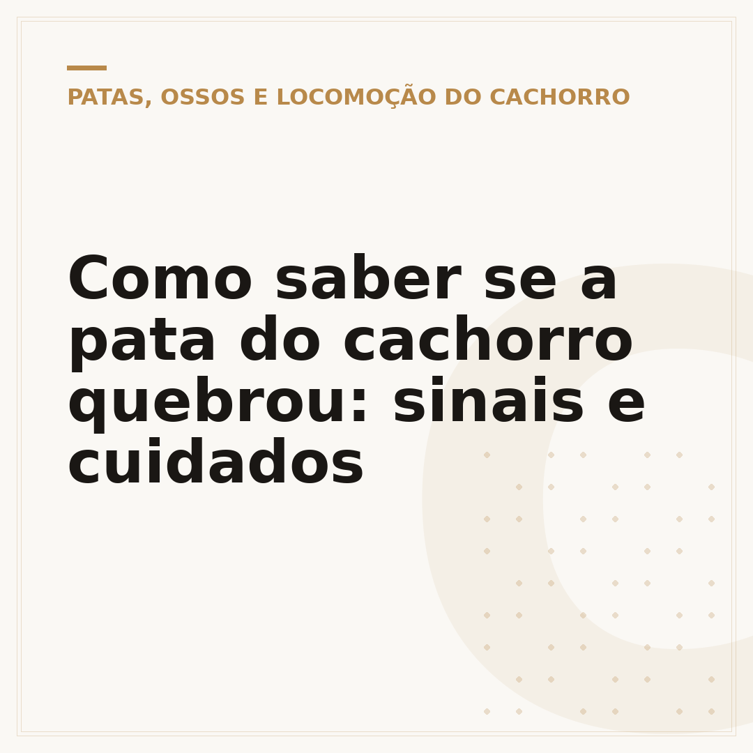 Como saber se a pata do cachorro quebrou: sinais e cuidados