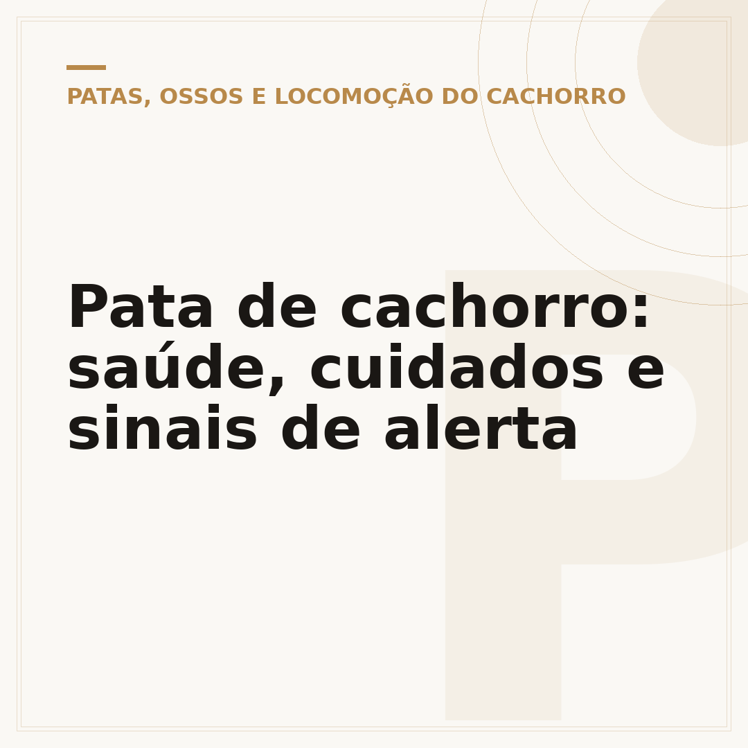 Pata de cachorro: saúde, cuidados e sinais de alerta