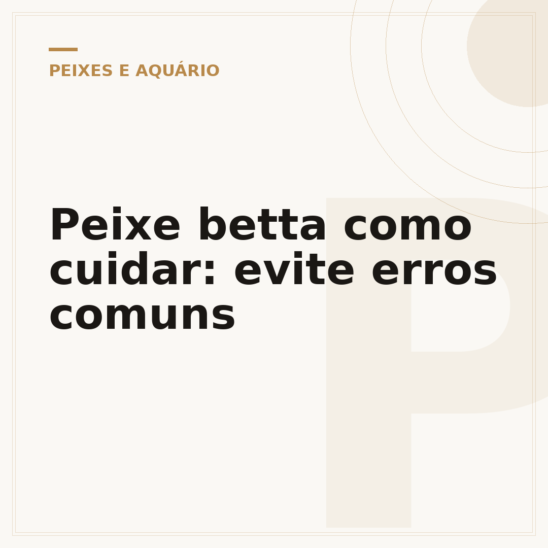 Peixe betta como cuidar: evite erros comuns