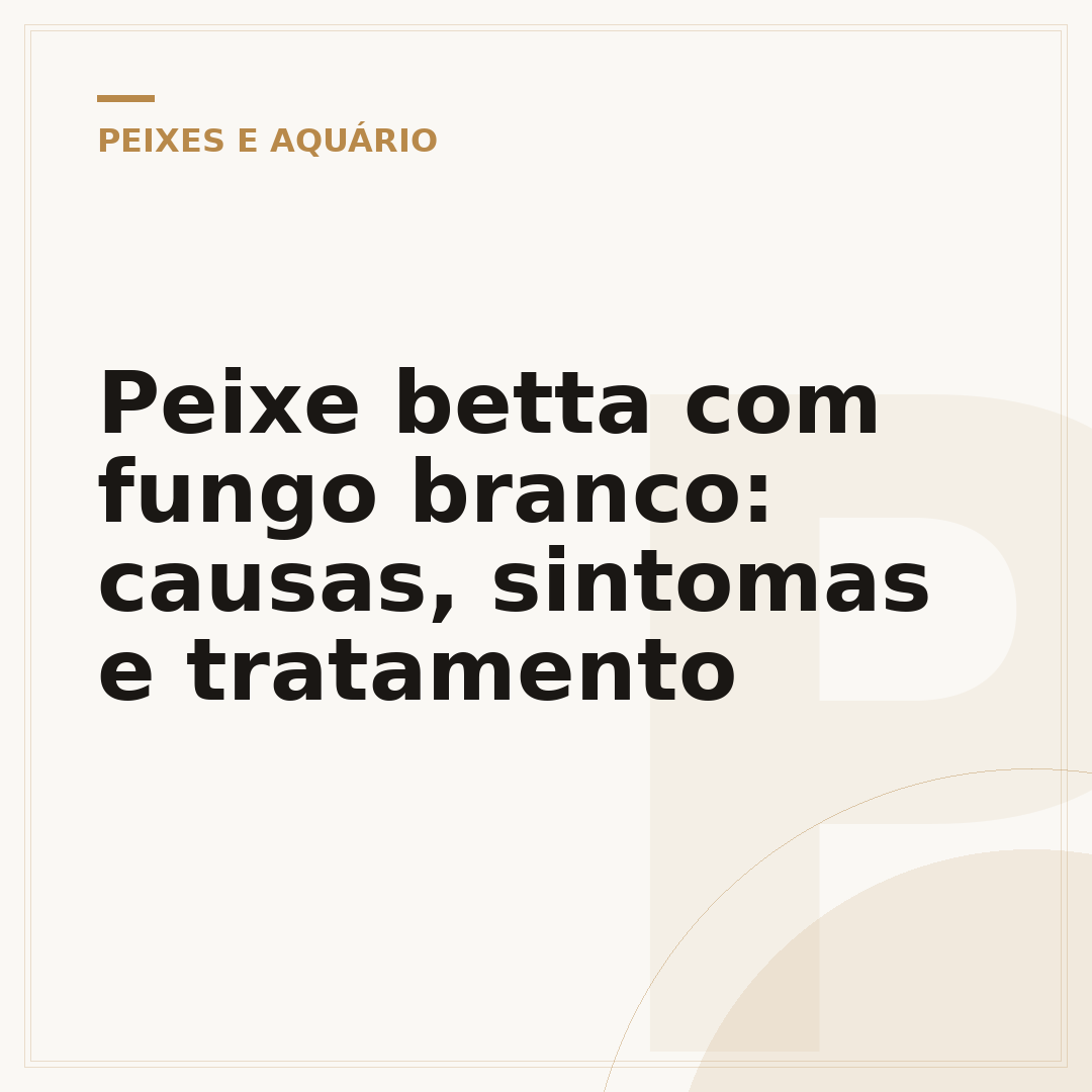 Peixe betta com fungo branco: causas, sintomas e tratamento