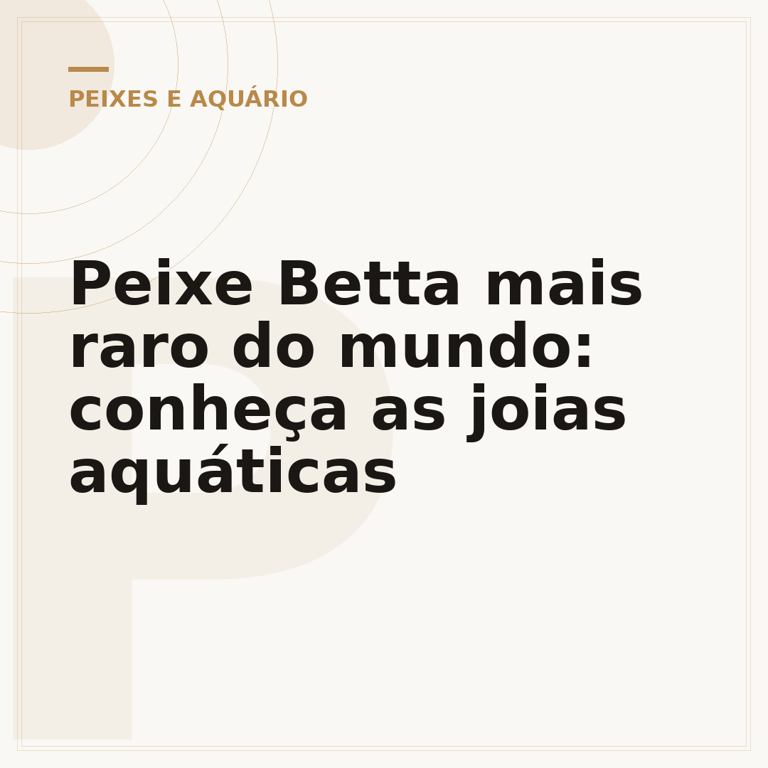 Peixe Betta mais raro do mundo: conheça as joias aquáticas