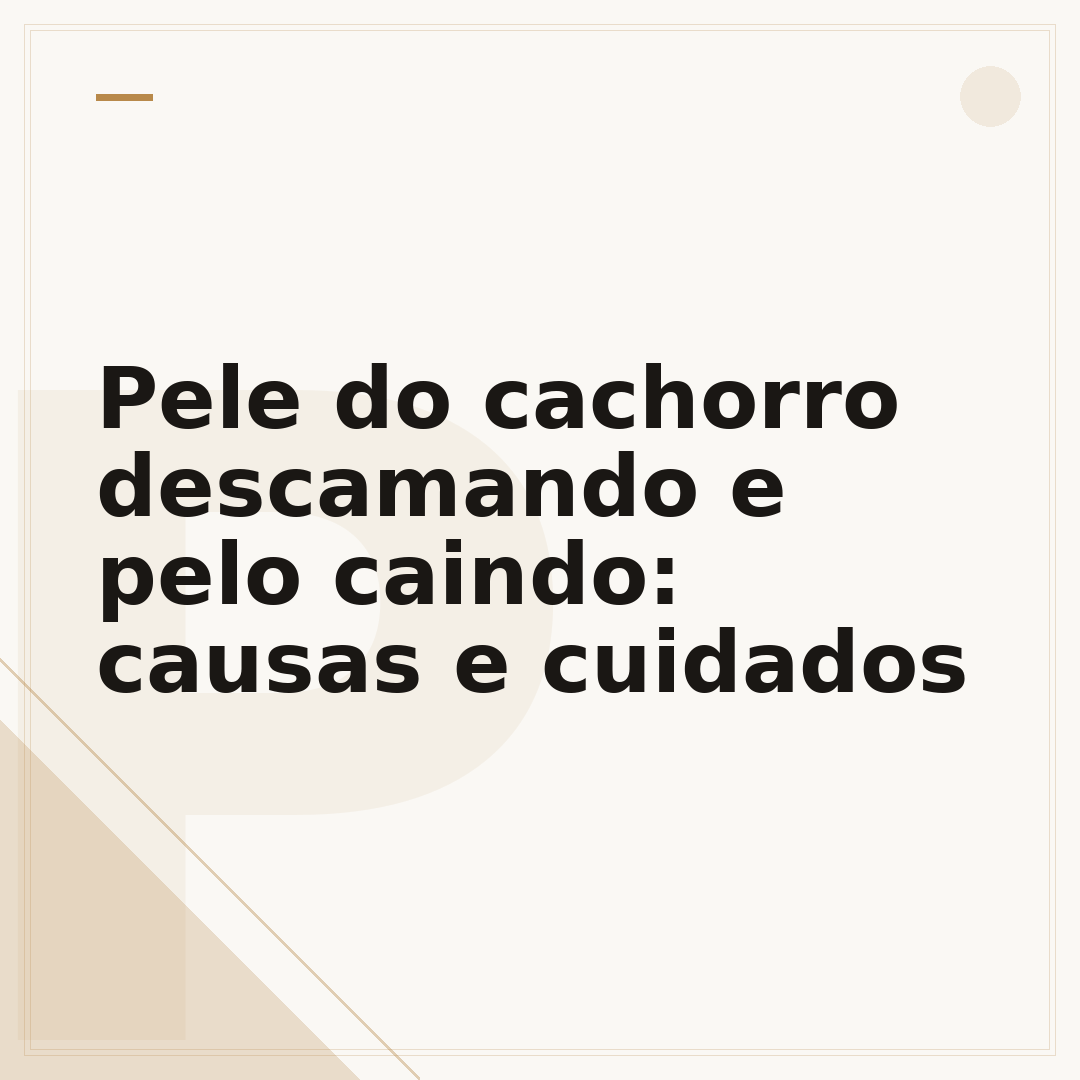 Pele do cachorro descamando e pelo caindo: causas e cuidados
