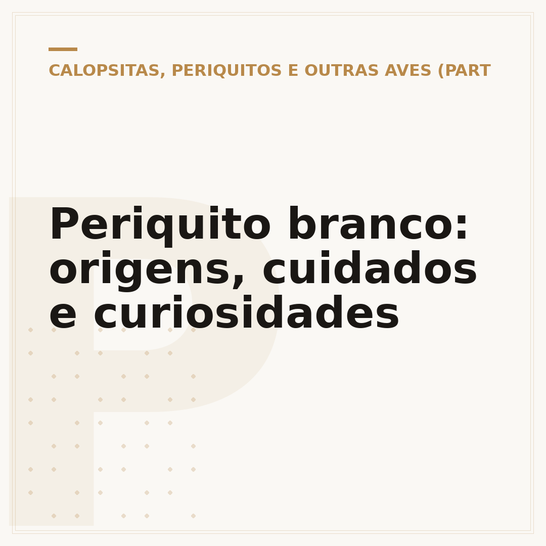 Periquito branco: origens, cuidados e curiosidades