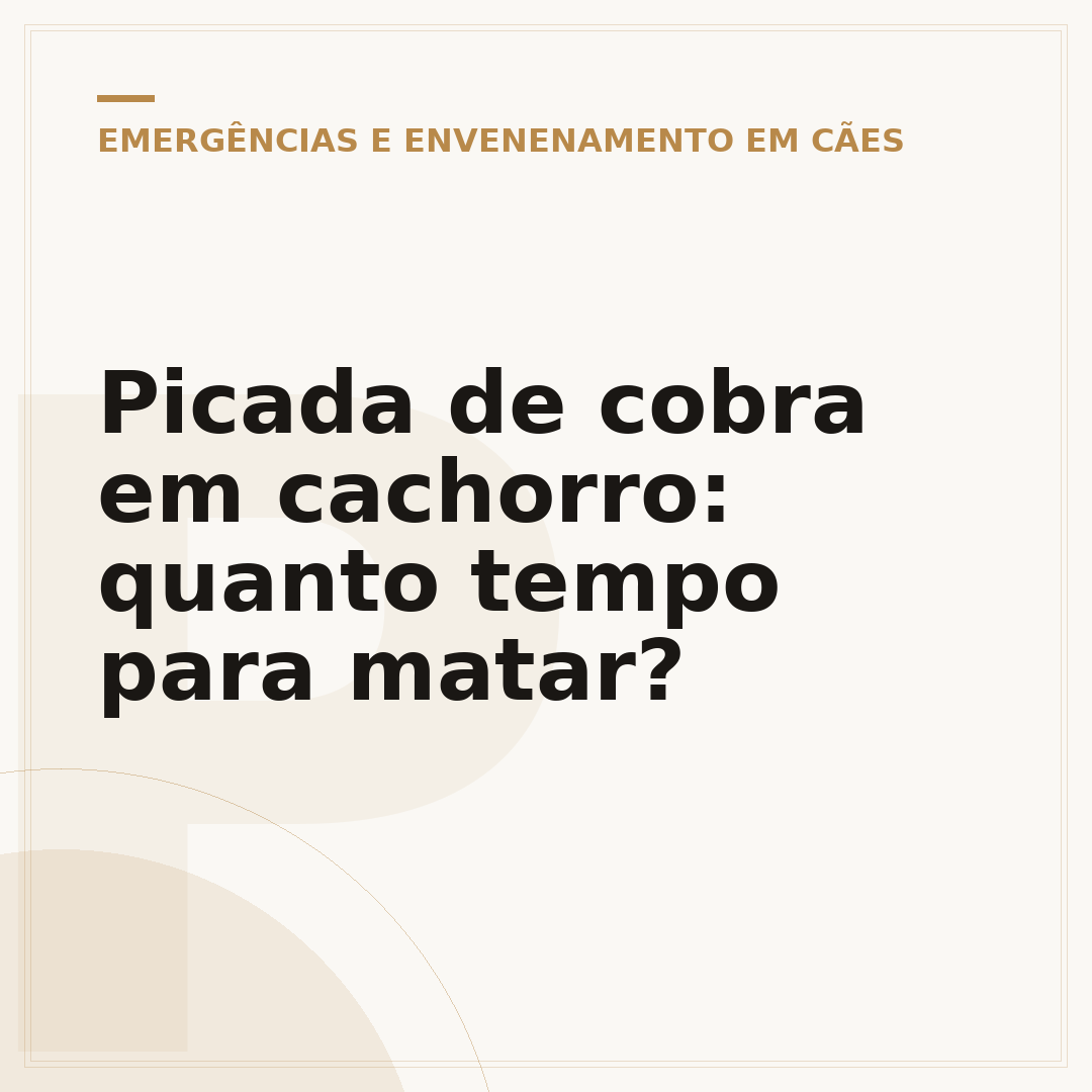 Picada de cobra em cachorro: quanto tempo para matar?