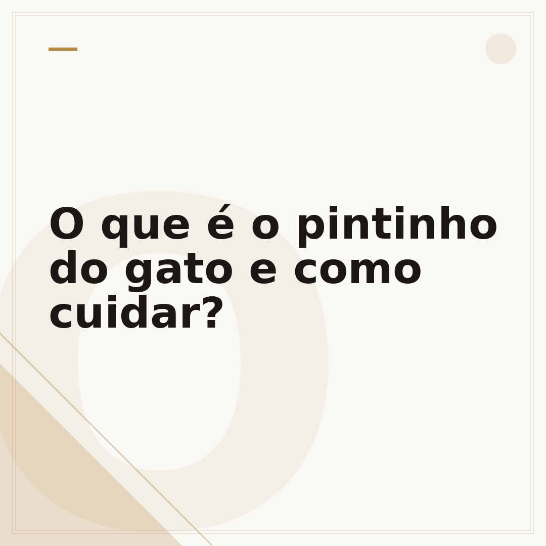 O que é o pintinho do gato e como cuidar?