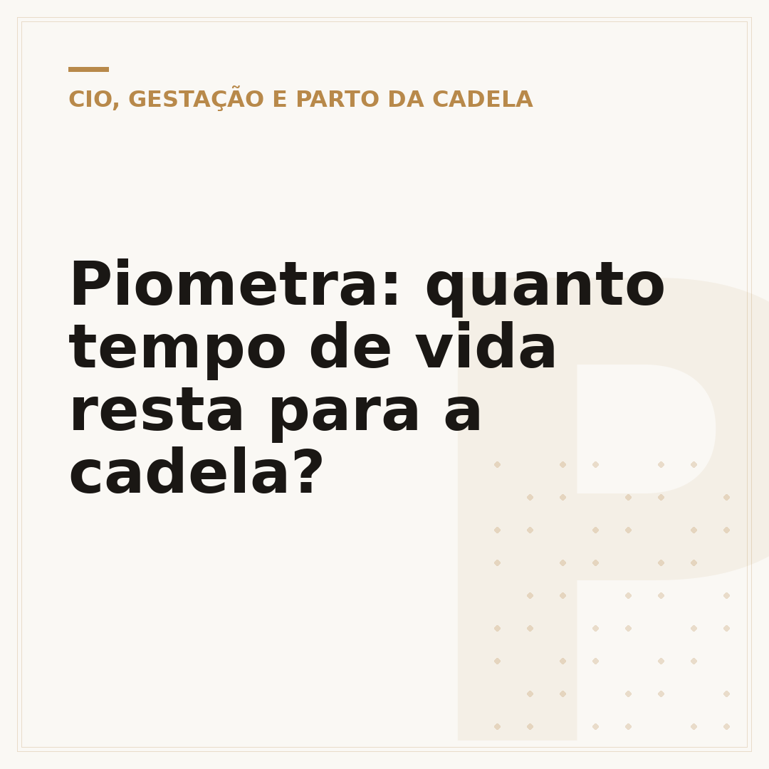 Piometra: quanto tempo de vida resta para a cadela?