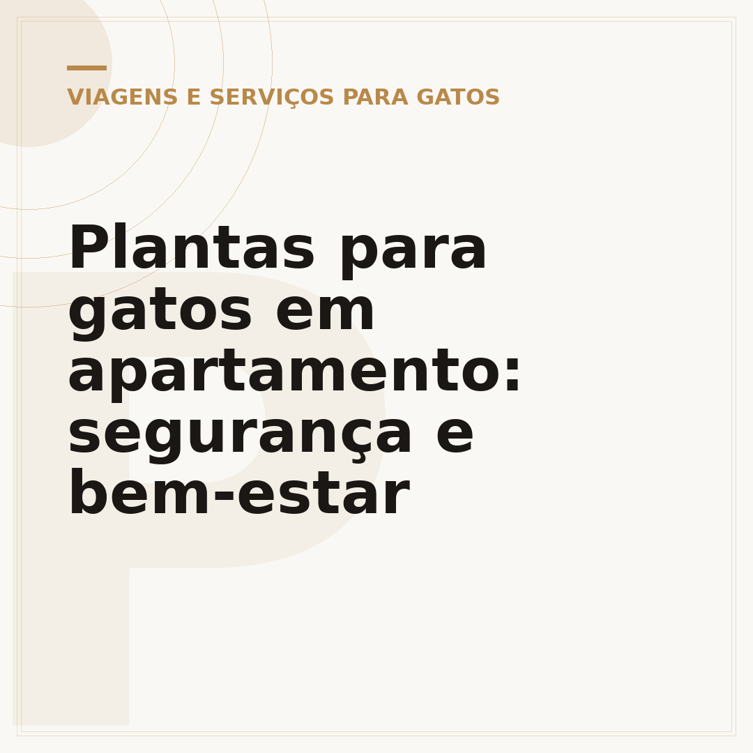 Plantas para gatos em apartamento: segurança e bem-estar