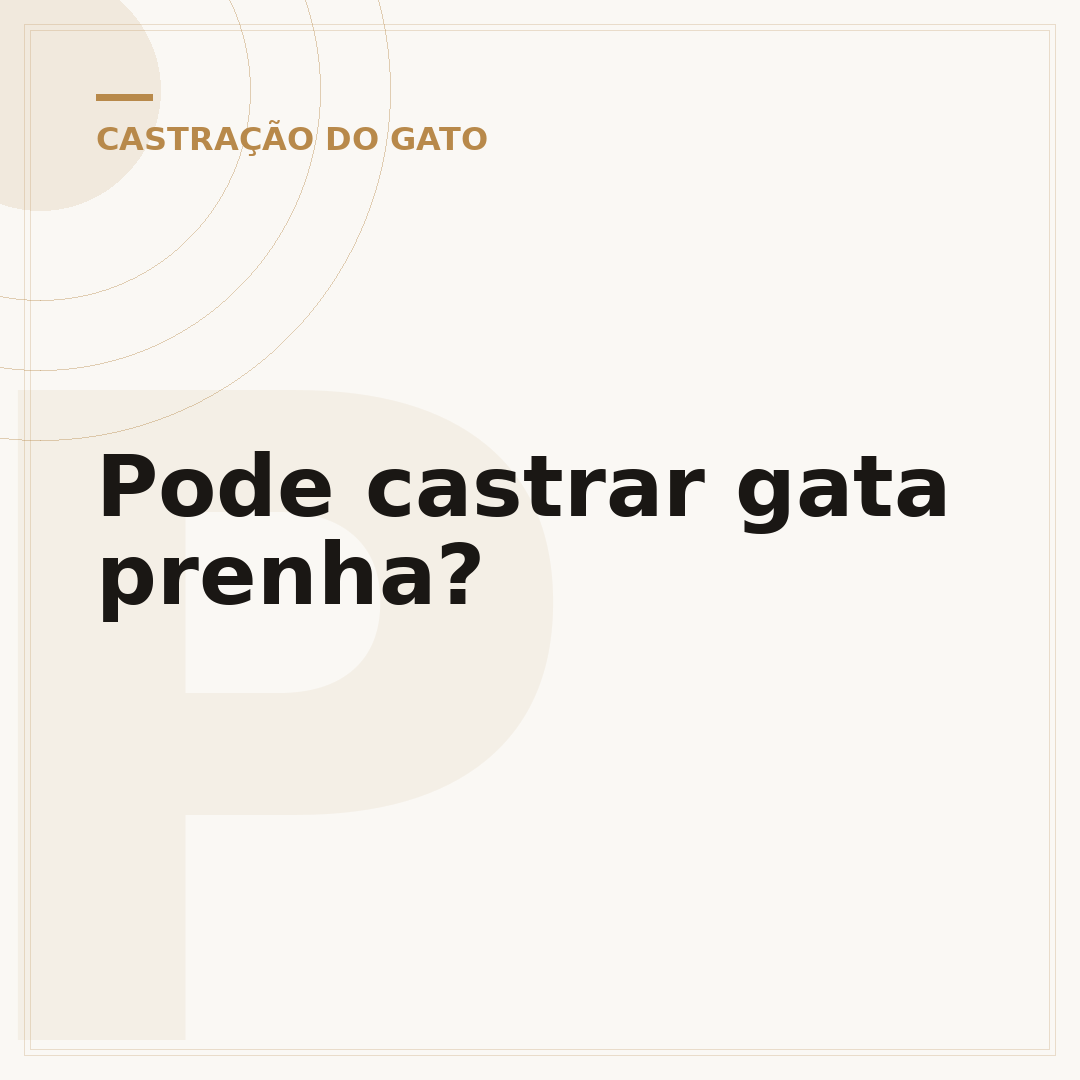 Pode castrar gata prenha?