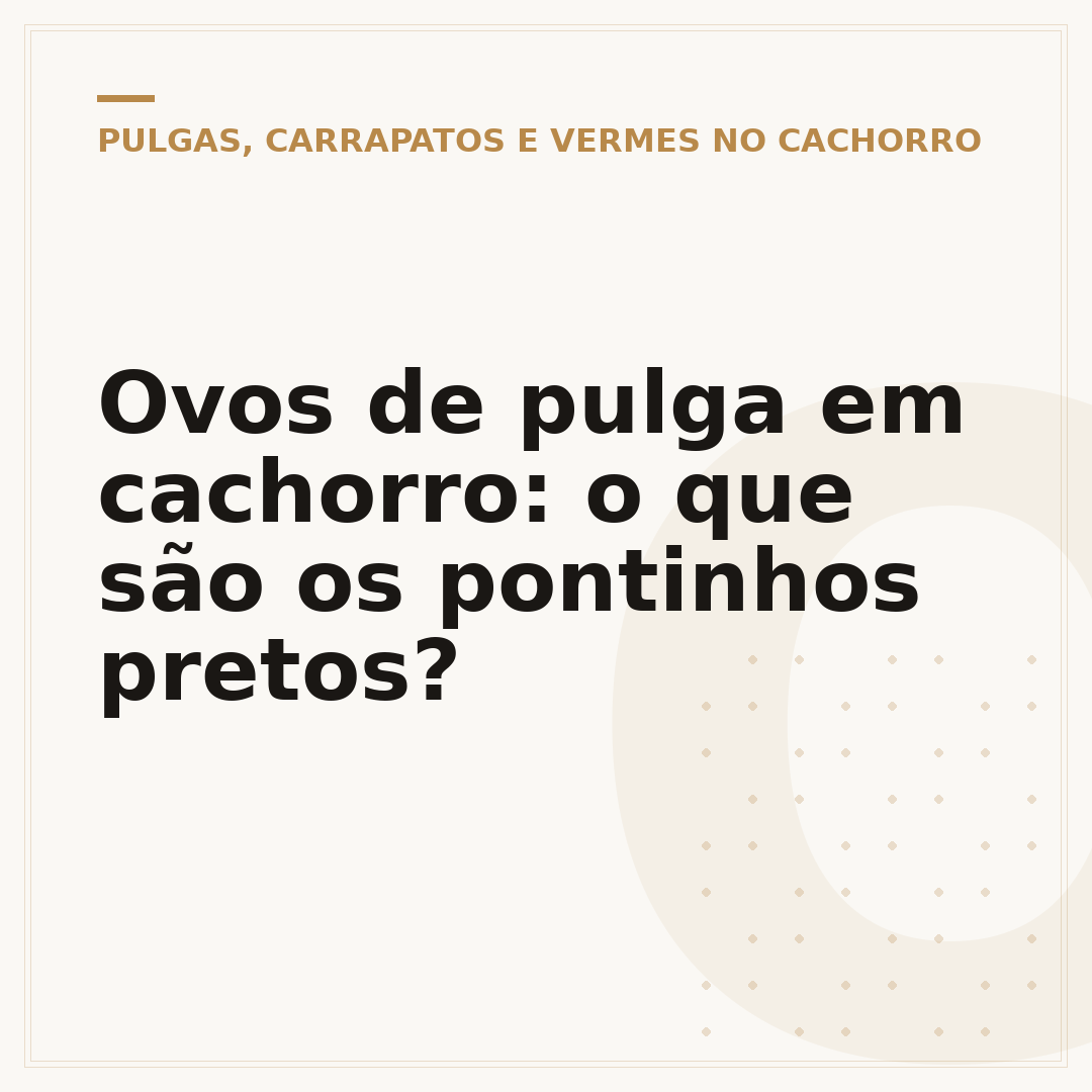 Ovos de pulga em cachorro: o que são os pontinhos pretos?