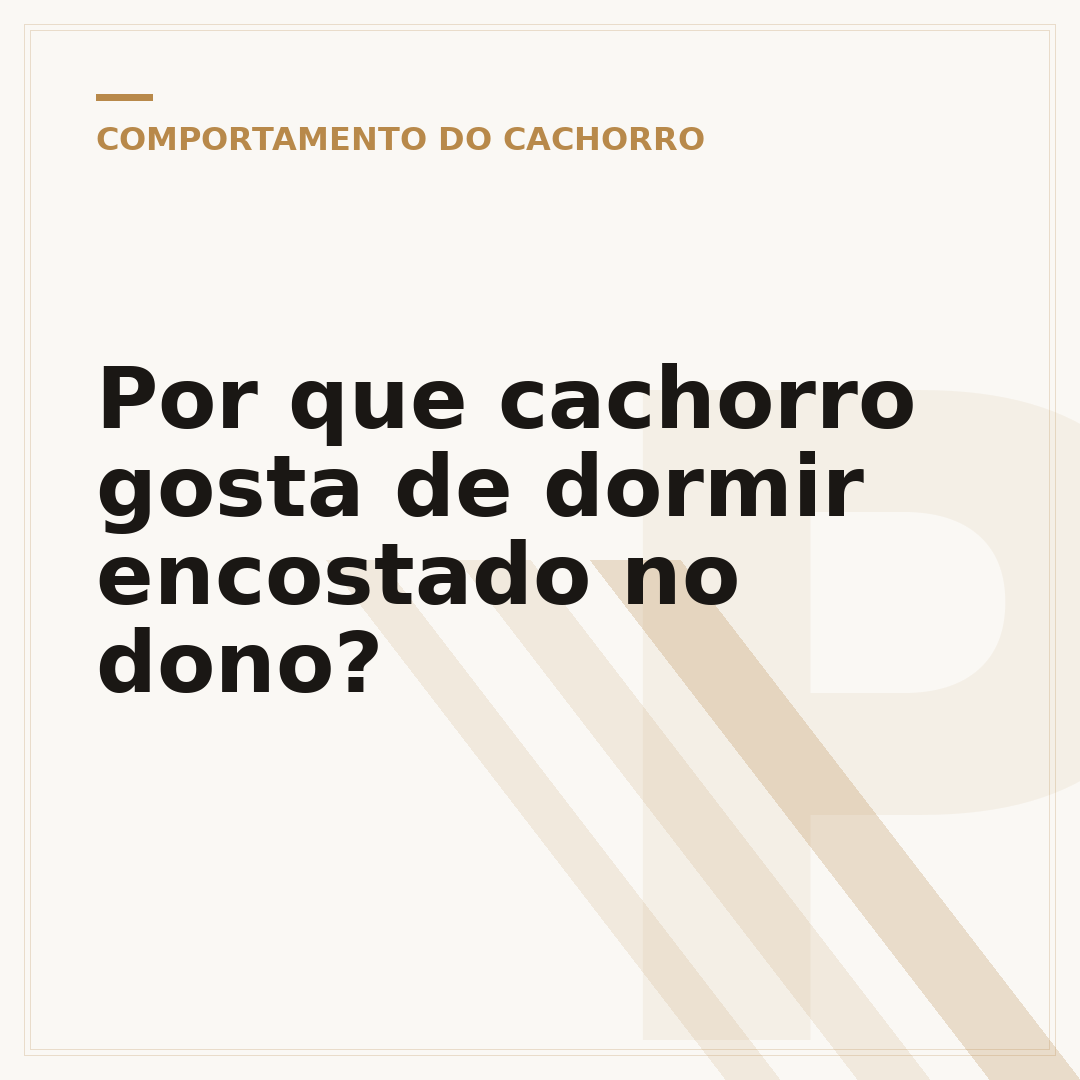 Por que cachorro gosta de dormir encostado no dono?