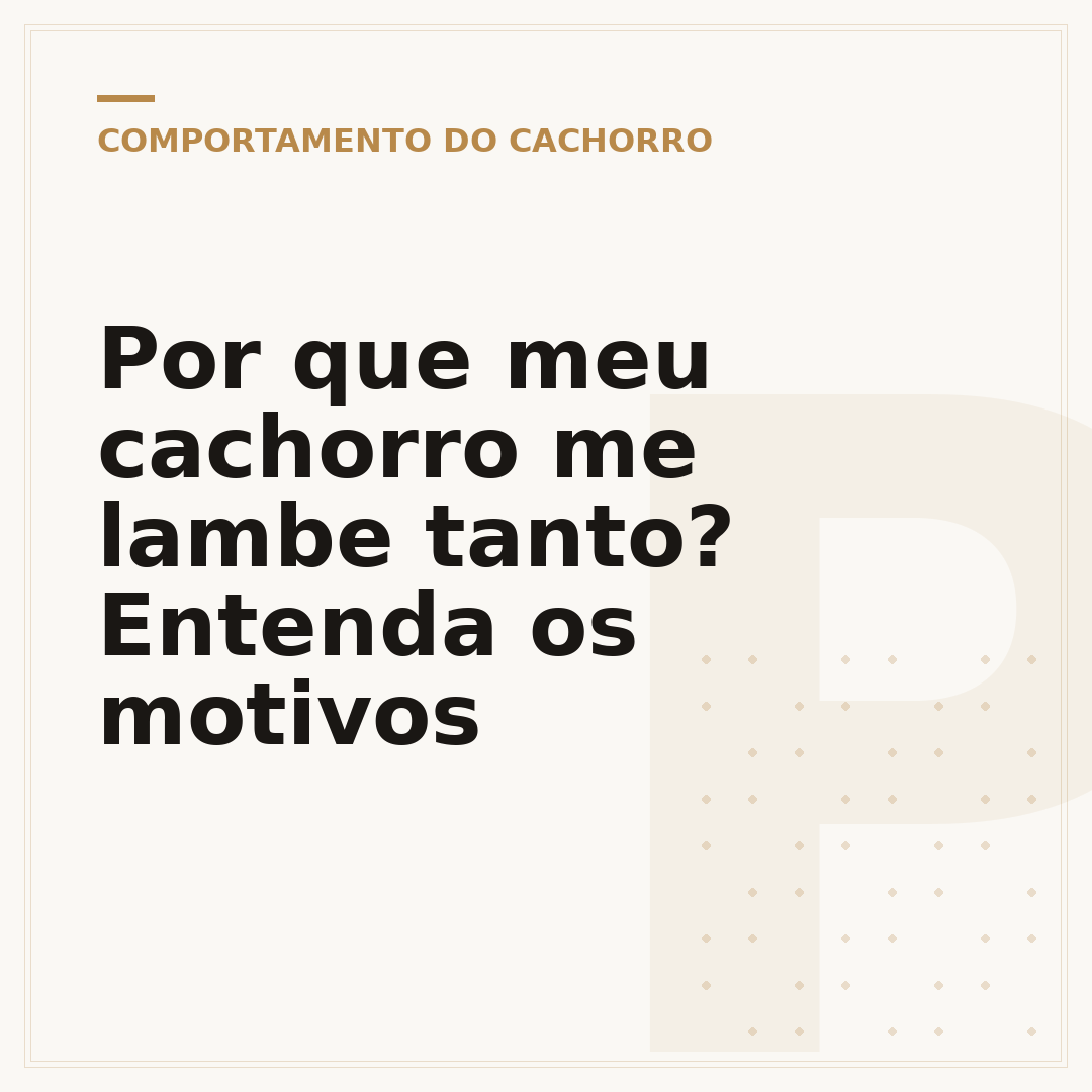 Por que meu cachorro me lambe tanto? Entenda os motivos