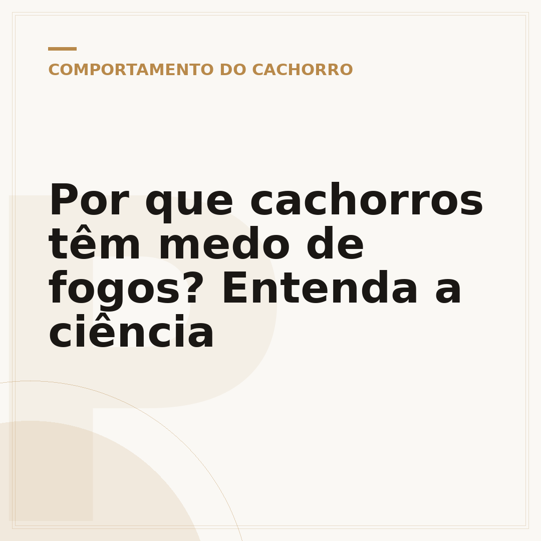 Por que cachorros têm medo de fogos? Entenda a ciência