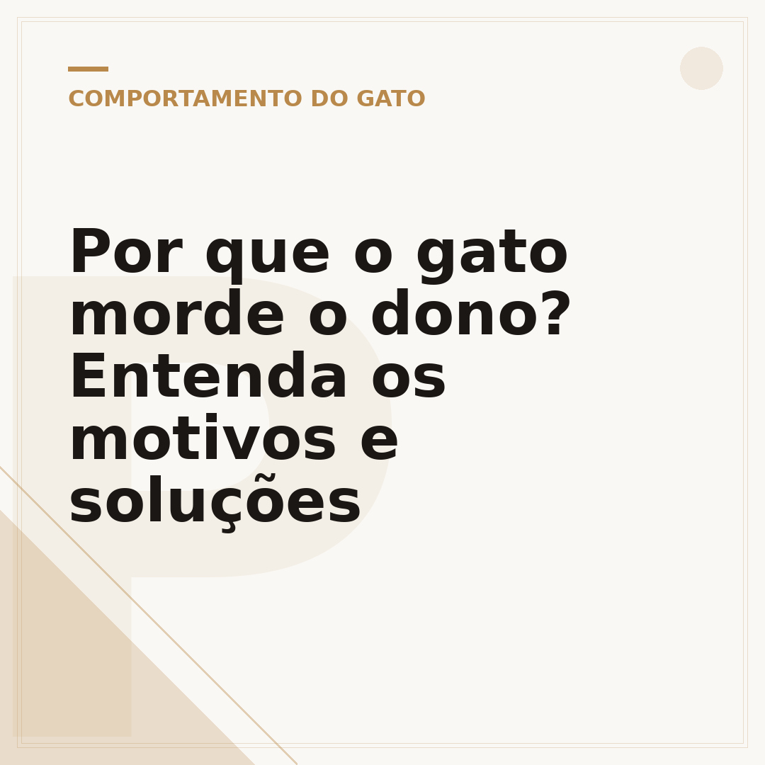 Por que o gato morde o dono? Entenda os motivos e soluções