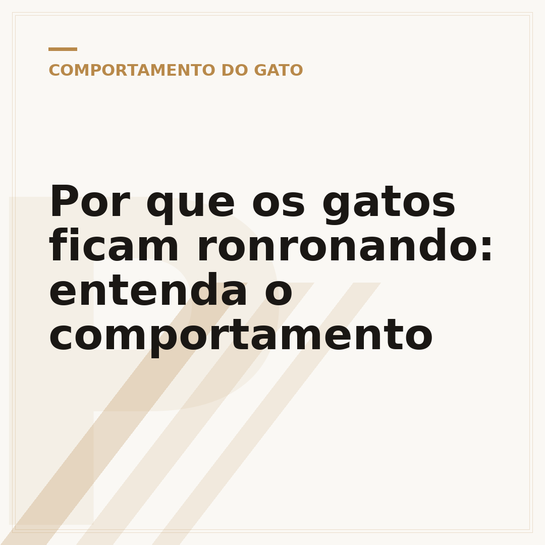 Por que os gatos ficam ronronando: entenda o comportamento