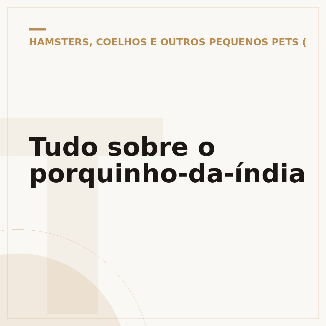 Tudo sobre o porquinho-da-índia