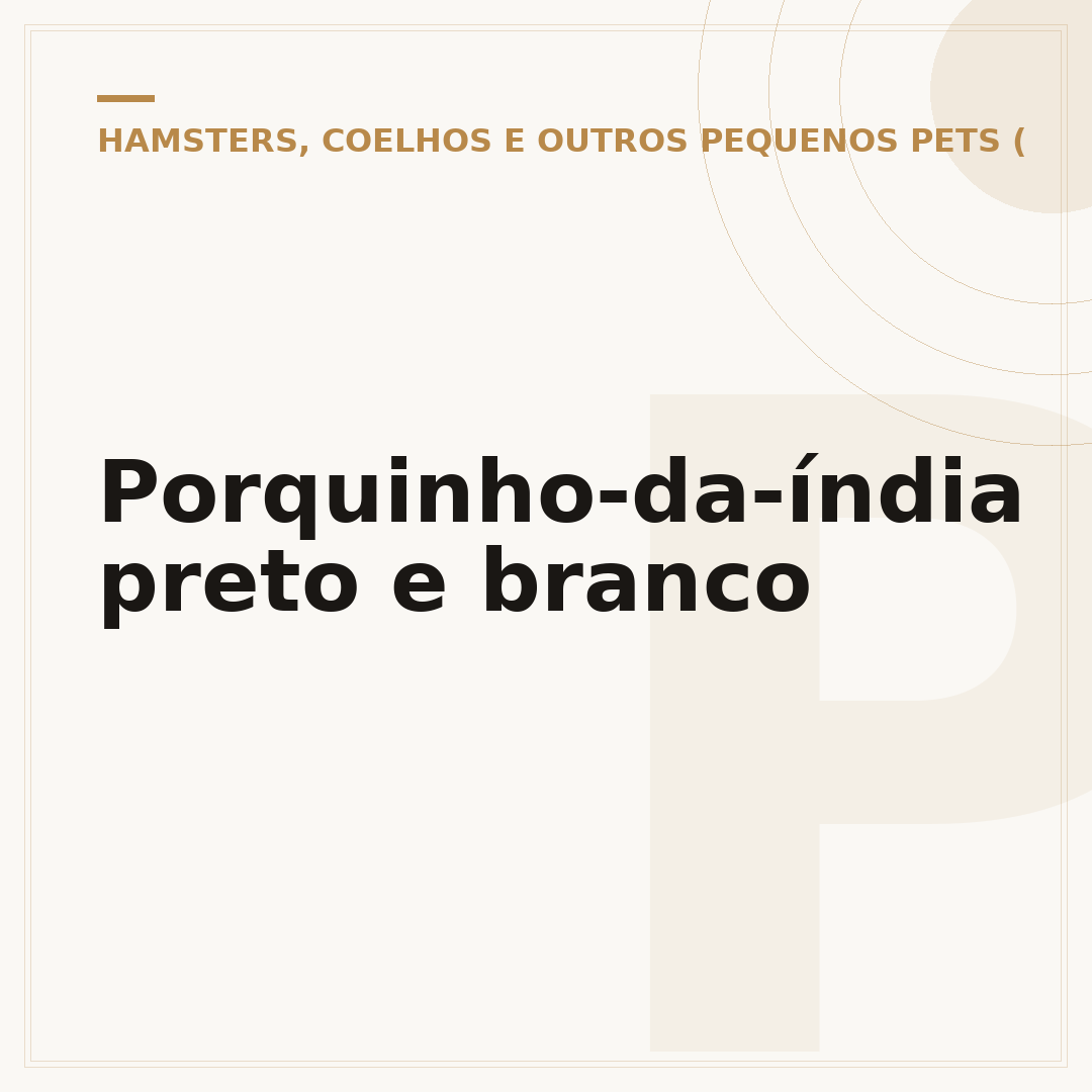 Porquinho-da-índia preto e branco