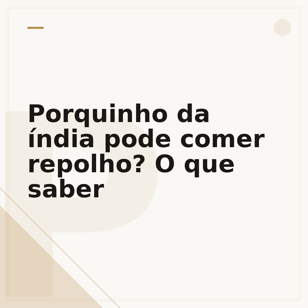 Porquinho da índia pode comer repolho? O que saber
