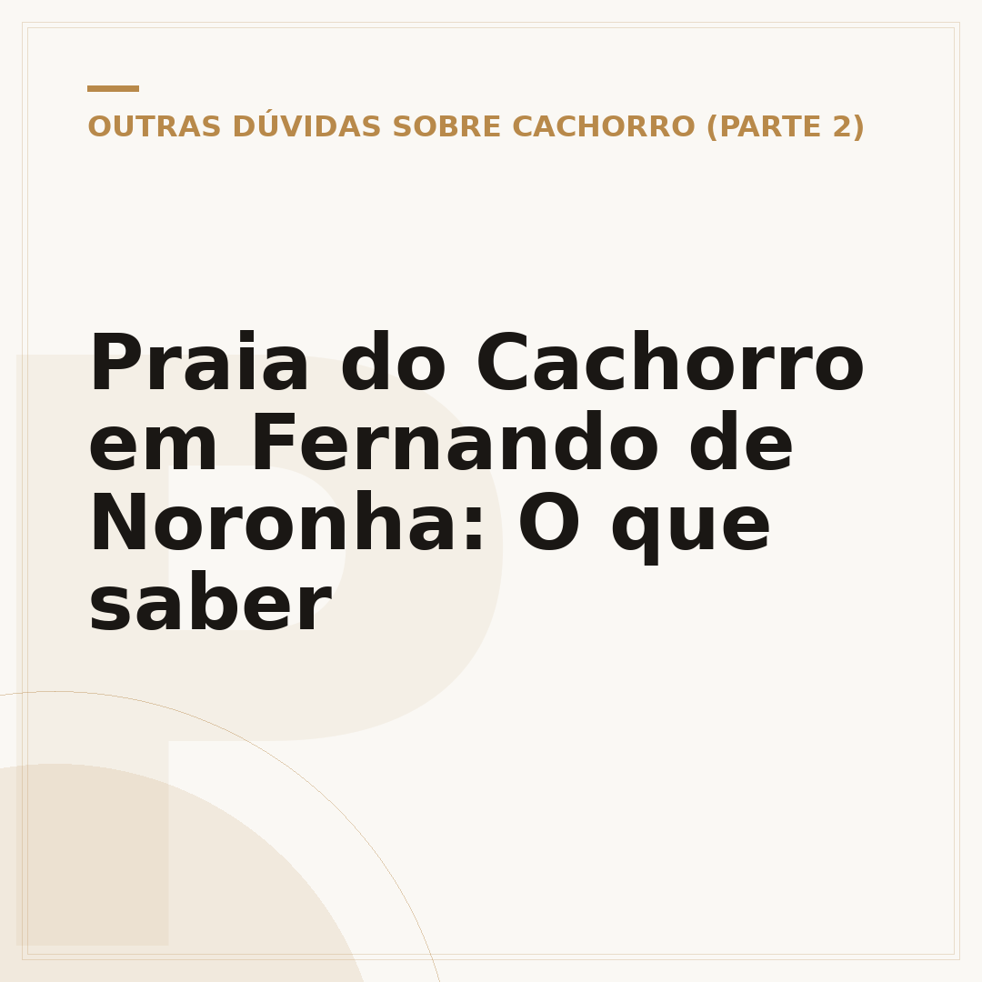 Praia do Cachorro em Fernando de Noronha: O que saber