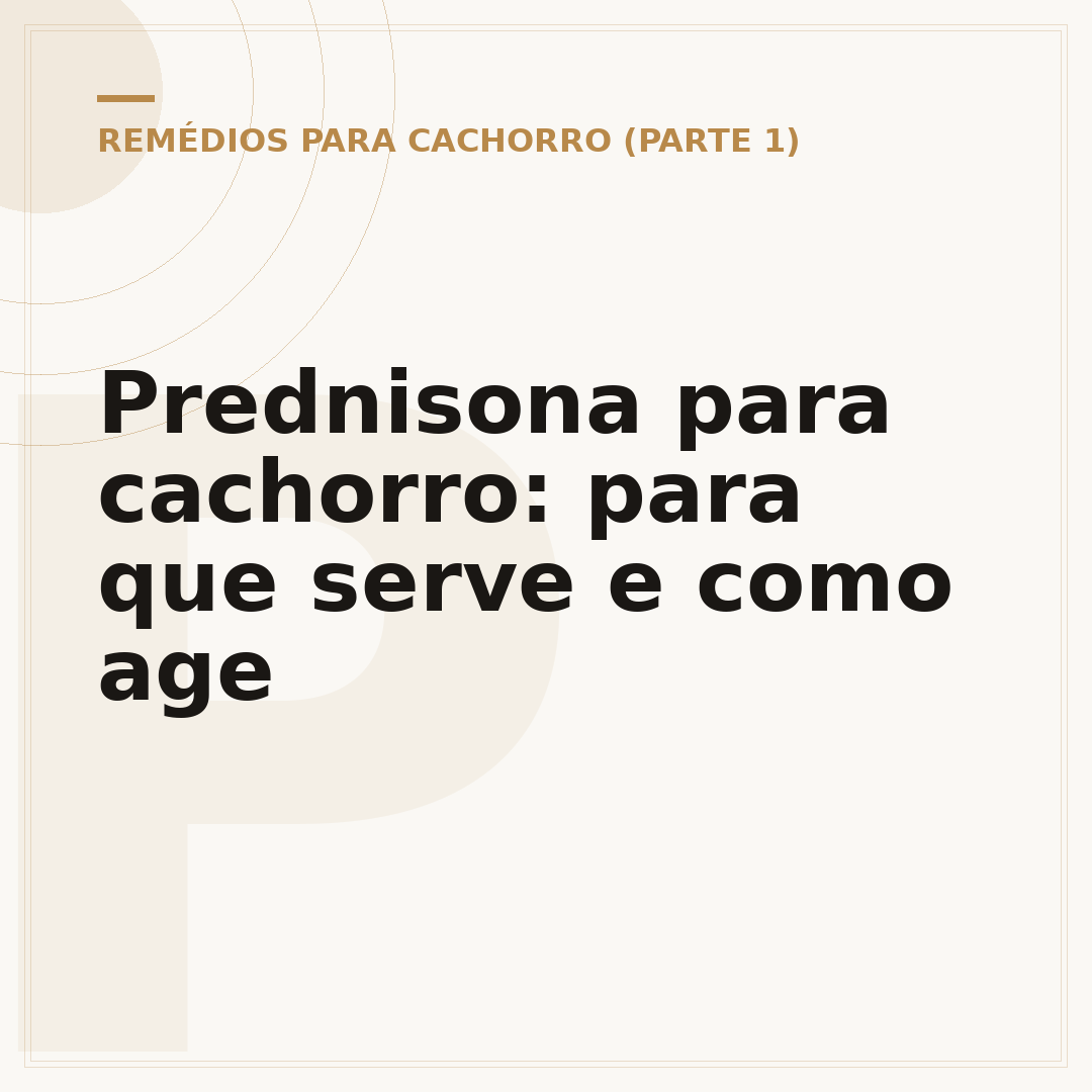 Prednisona para cachorro: para que serve e como age