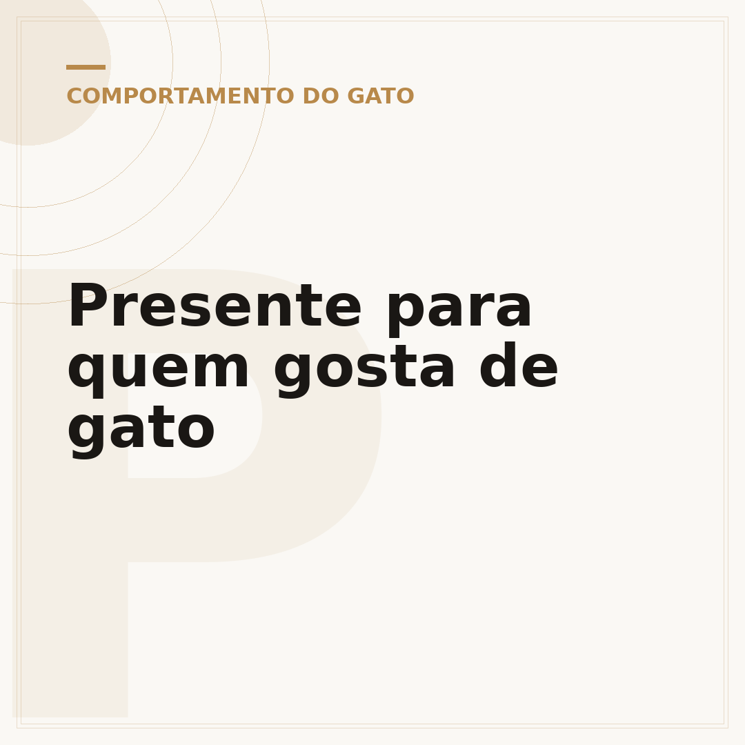 Presente para quem gosta de gato