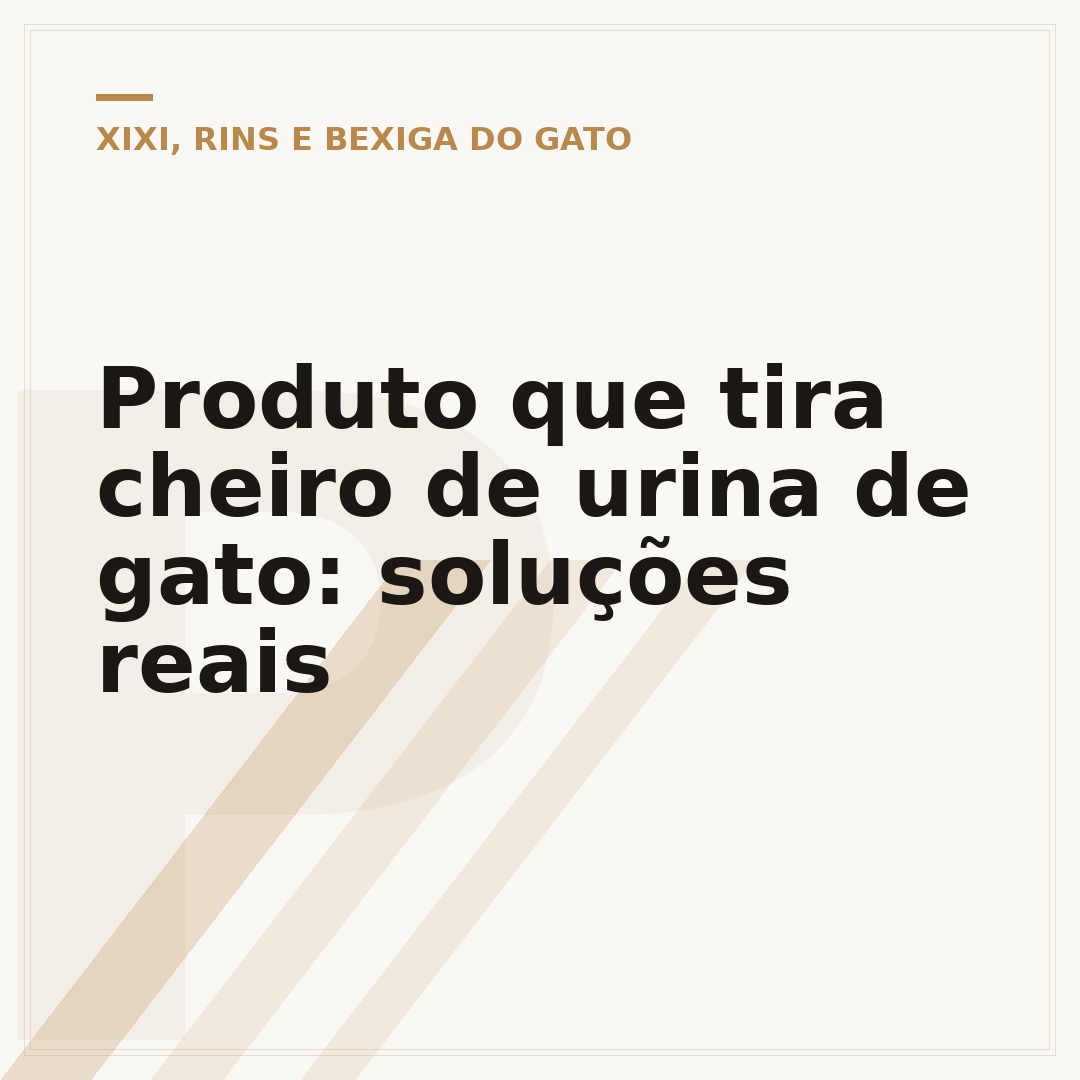 Produto que tira cheiro de urina de gato: soluções reais