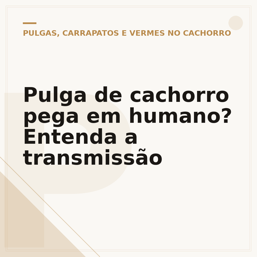 Pulga de cachorro pega em humano? Entenda a transmissão