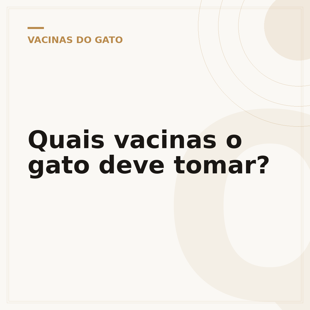 Quais vacinas o gato deve tomar?
