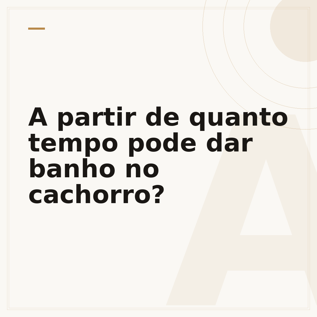 A partir de quanto tempo pode dar banho no cachorro?