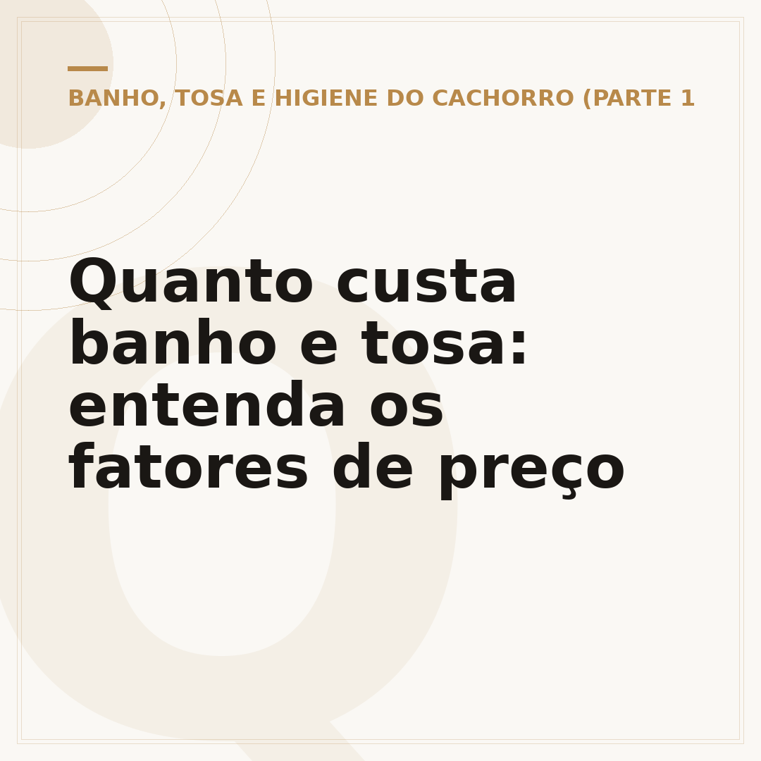 Quanto custa banho e tosa: entenda os fatores de preço