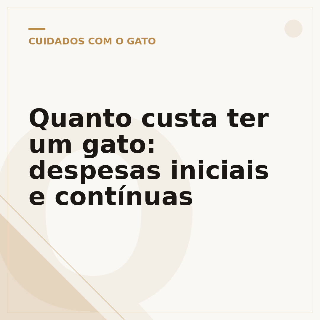 Quanto custa ter um gato: despesas iniciais e contínuas