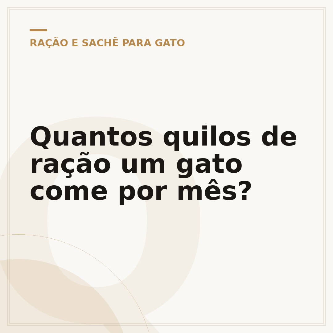 Quantos quilos de ração um gato come por mês?