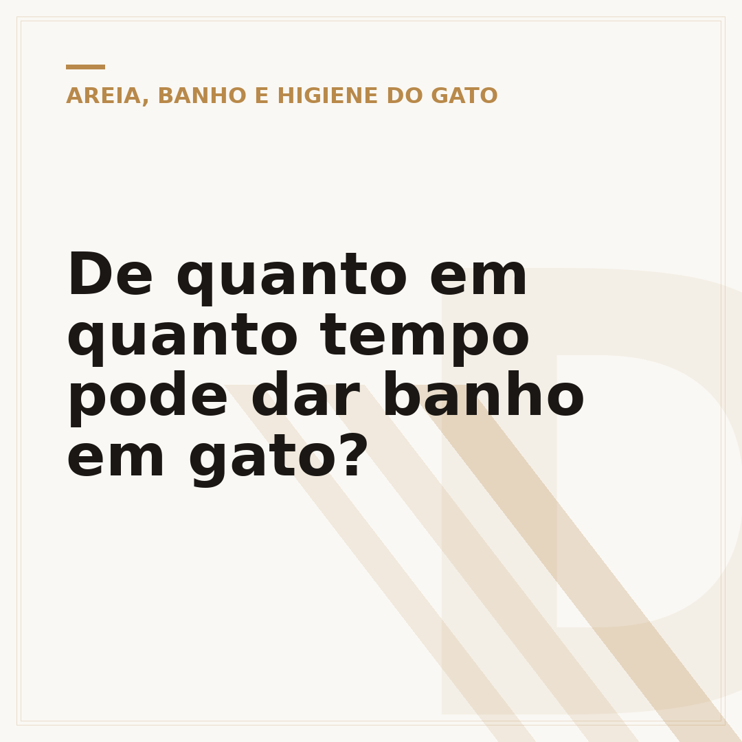 De quanto em quanto tempo pode dar banho em gato?