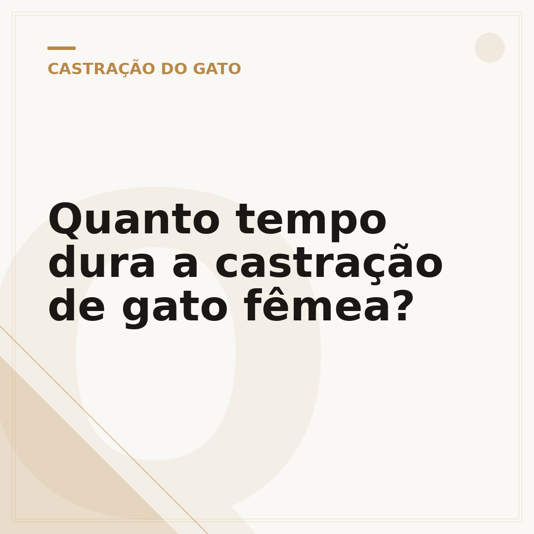 Quanto tempo dura a castração de gato fêmea?