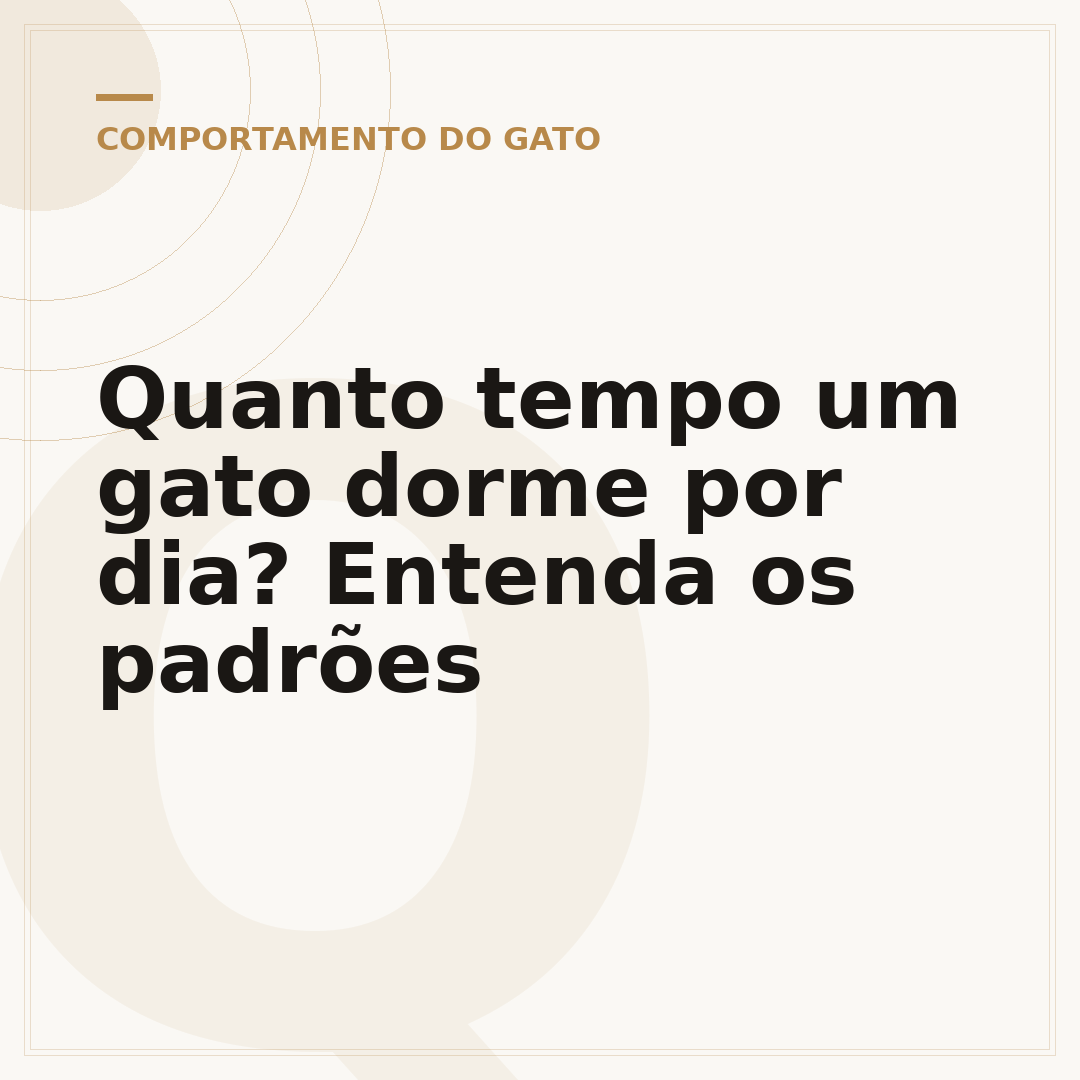 Quanto tempo um gato dorme por dia? Entenda os padrões