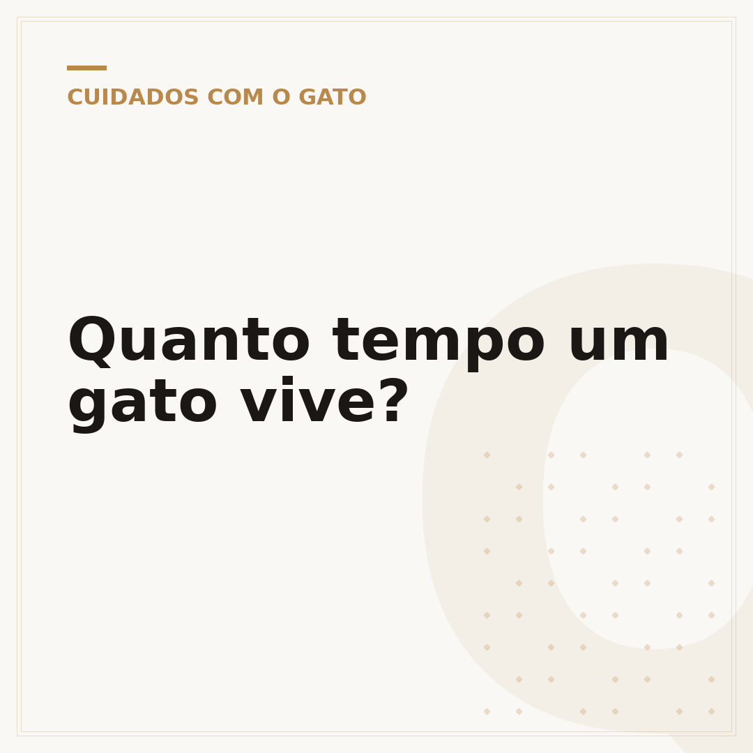 Quanto tempo um gato vive?