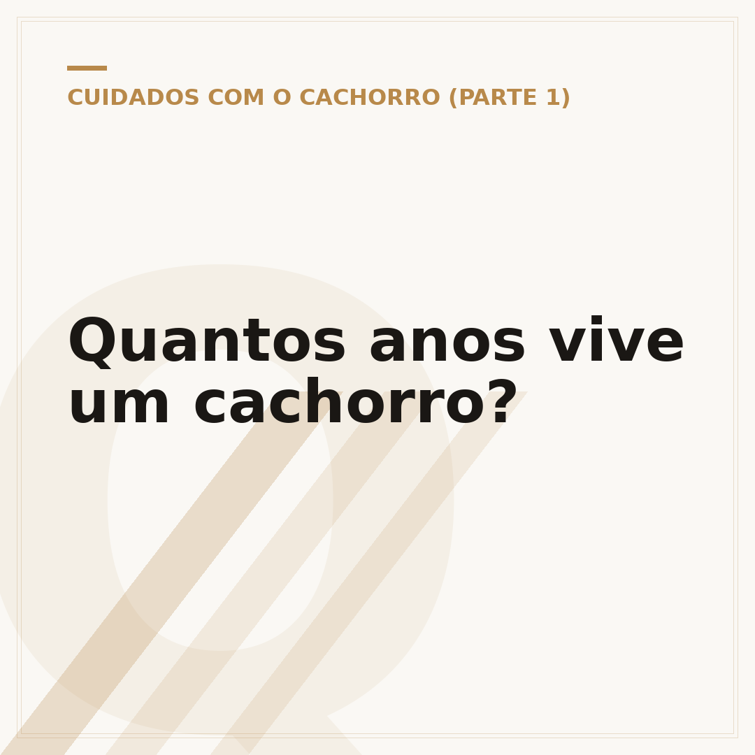 Quantos anos vive um cachorro?