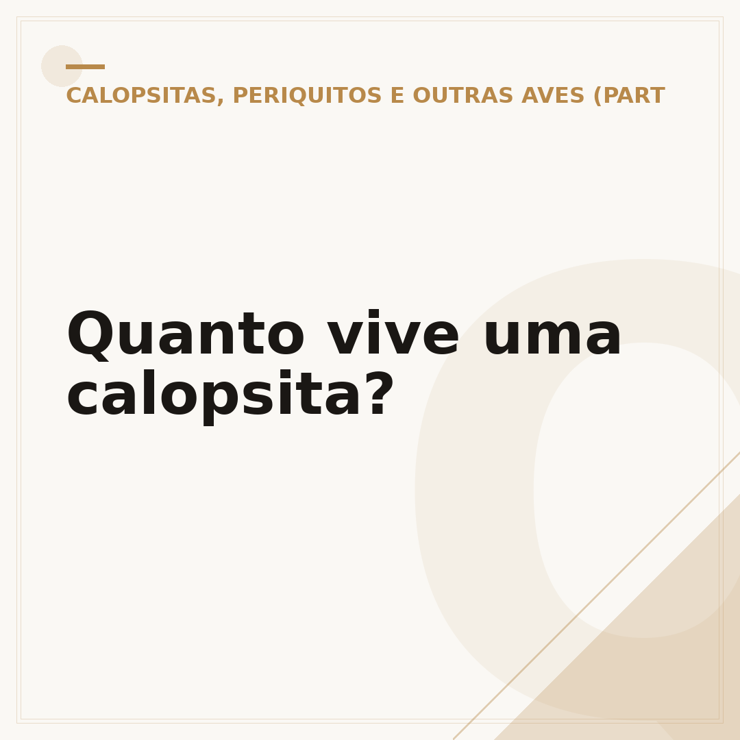 Quanto vive uma calopsita?