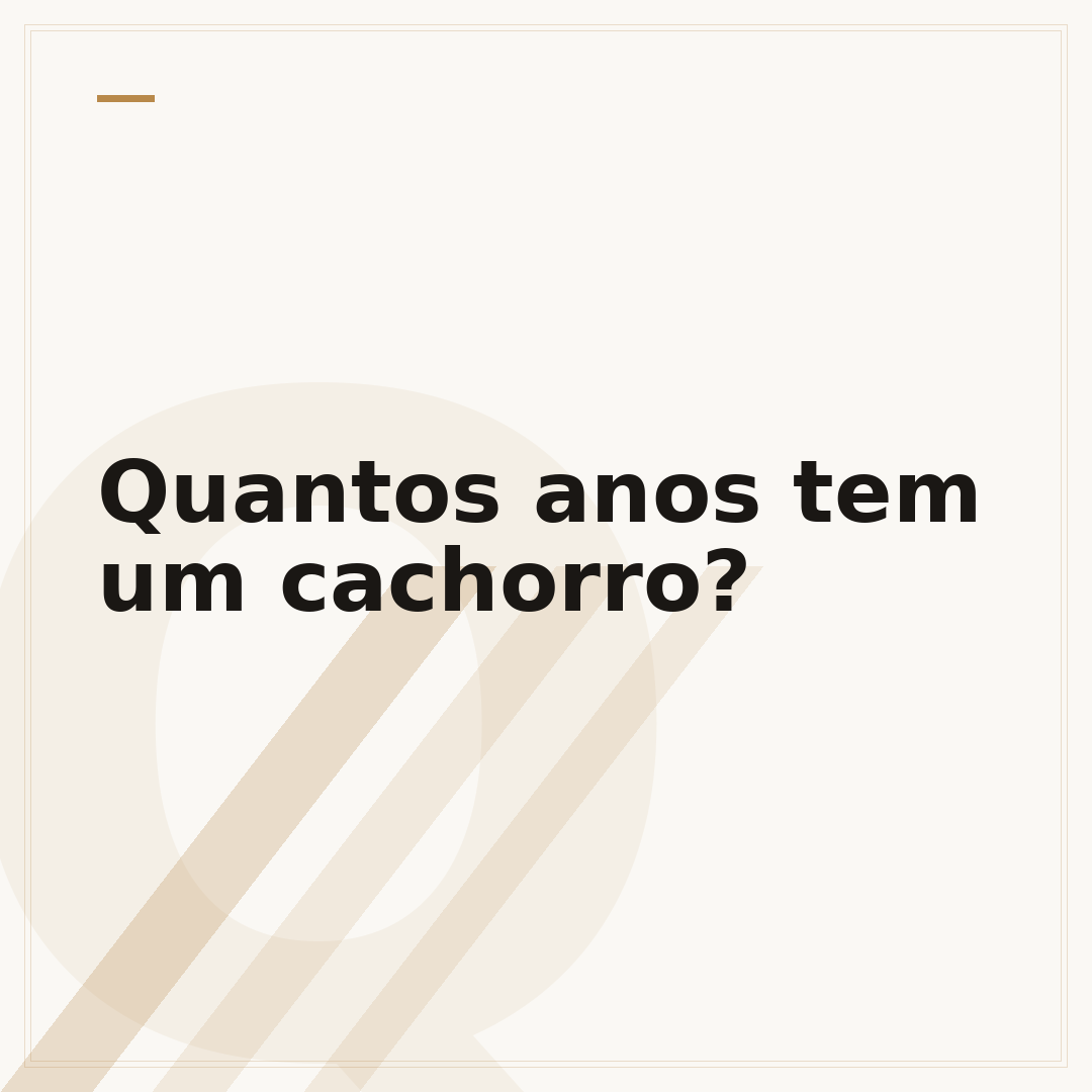 Quantos anos tem um cachorro?