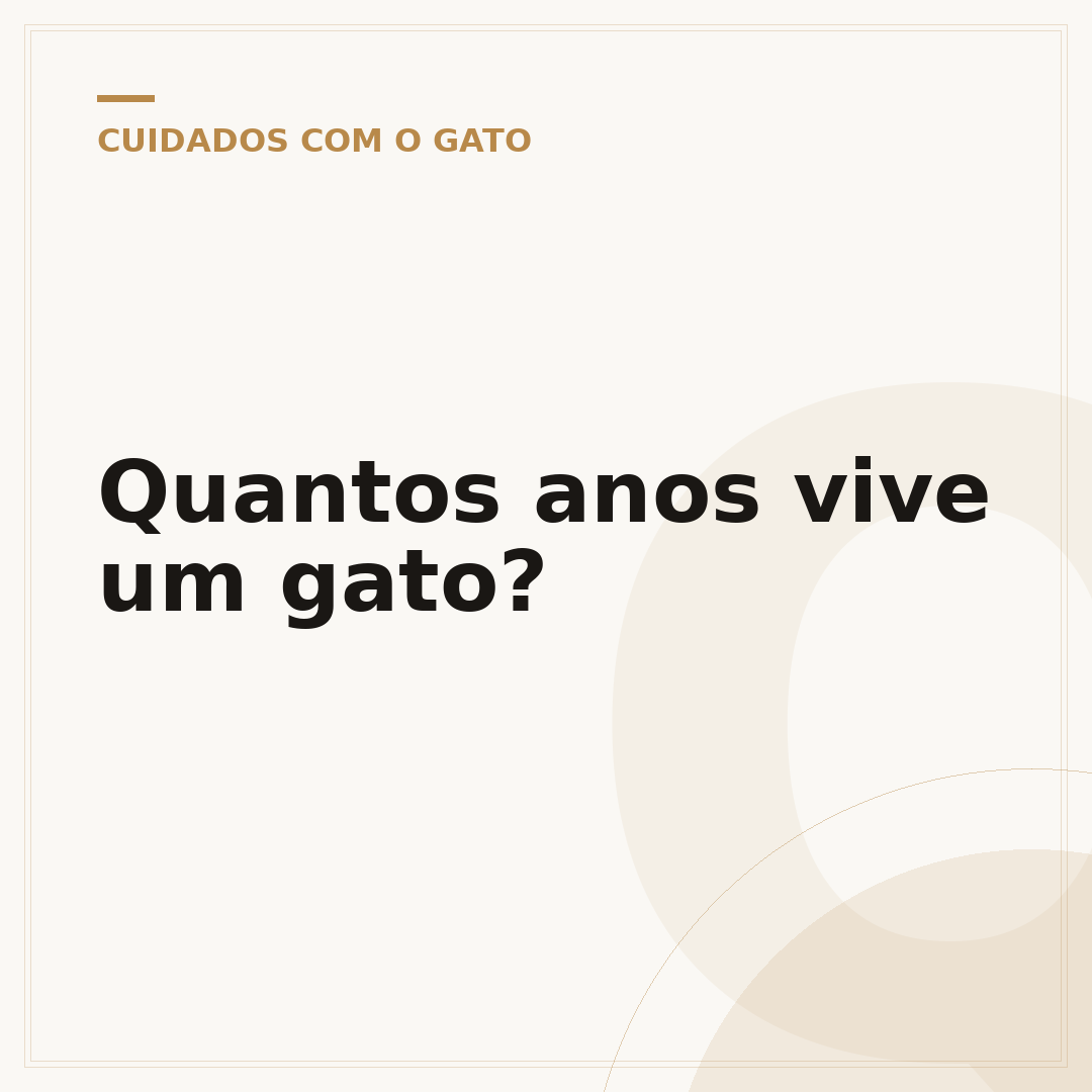 Quantos anos vive um gato?