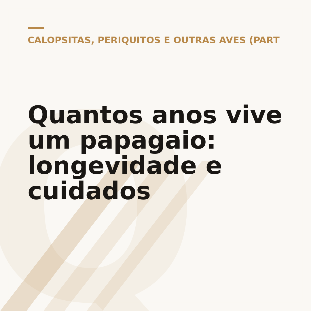 Quantos anos vive um papagaio: longevidade e cuidados