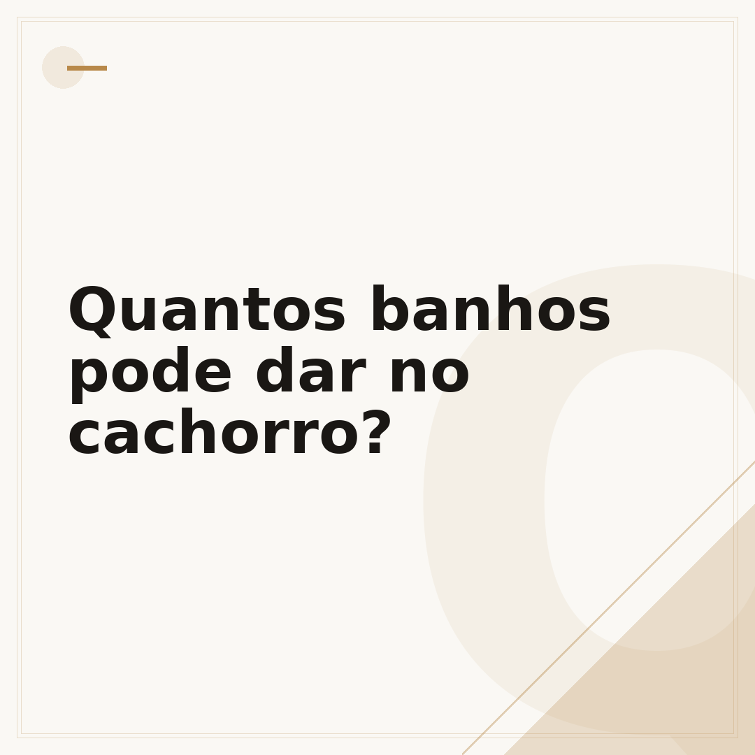 Quantos banhos pode dar no cachorro?