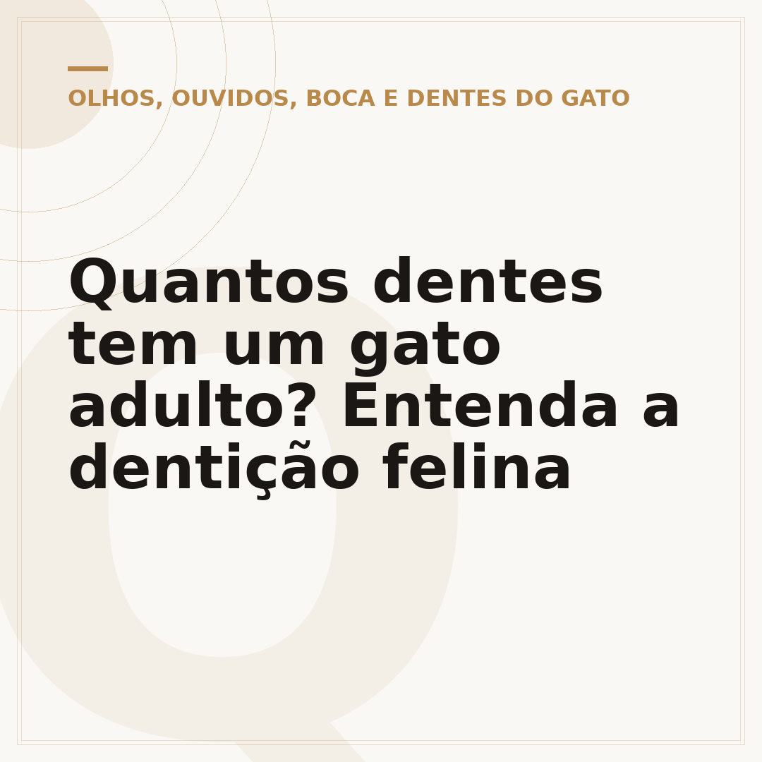 Quantos dentes tem um gato adulto? Entenda a dentição felina