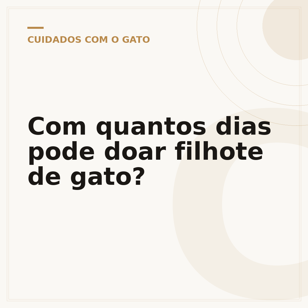 Com quantos dias pode doar filhote de gato?