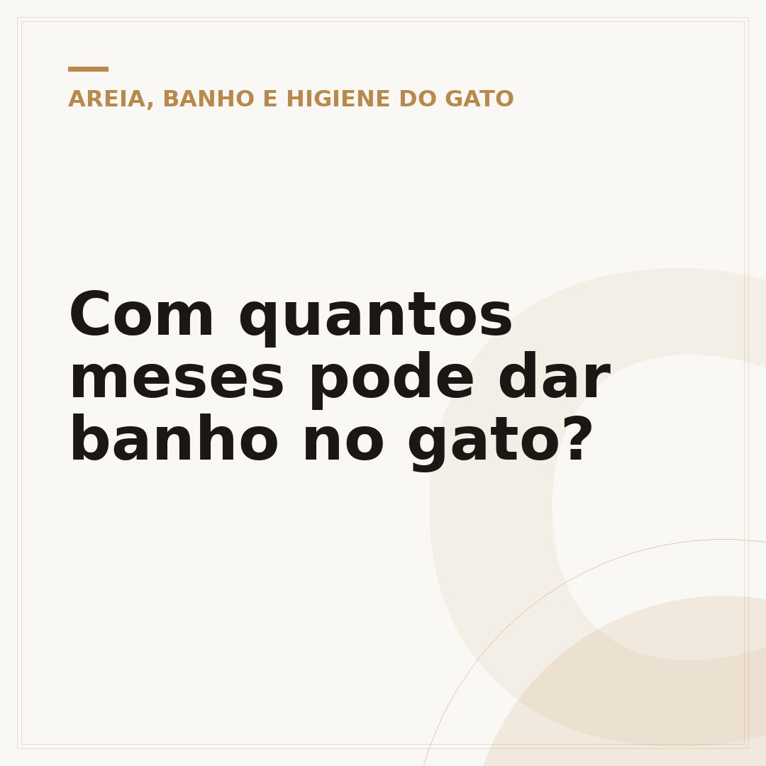 Com quantos meses pode dar banho no gato?