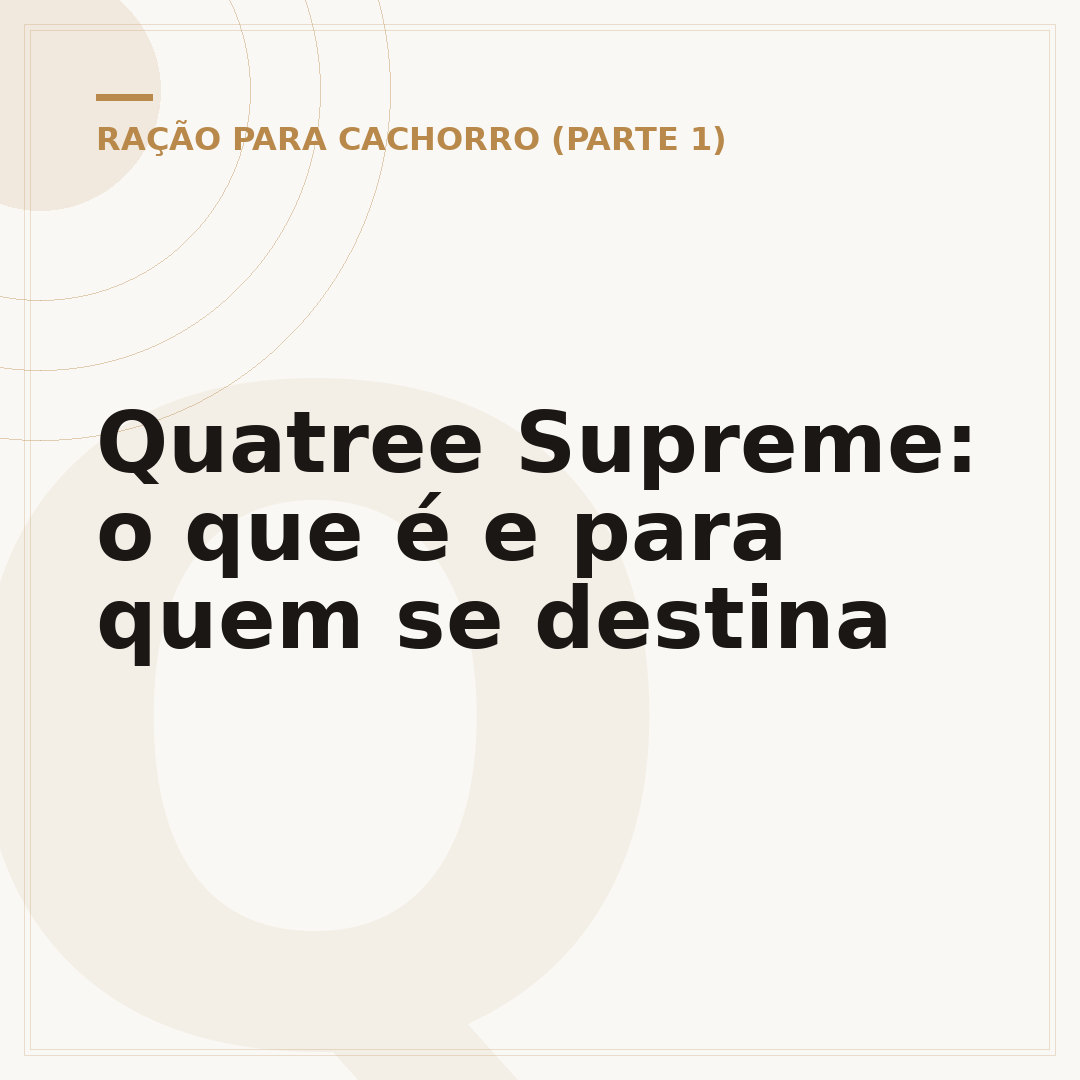 Quatree Supreme: o que é e para quem se destina