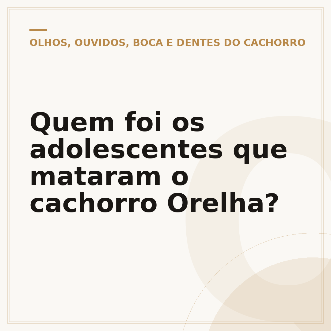 Quem foi os adolescentes que mataram o cachorro Orelha?