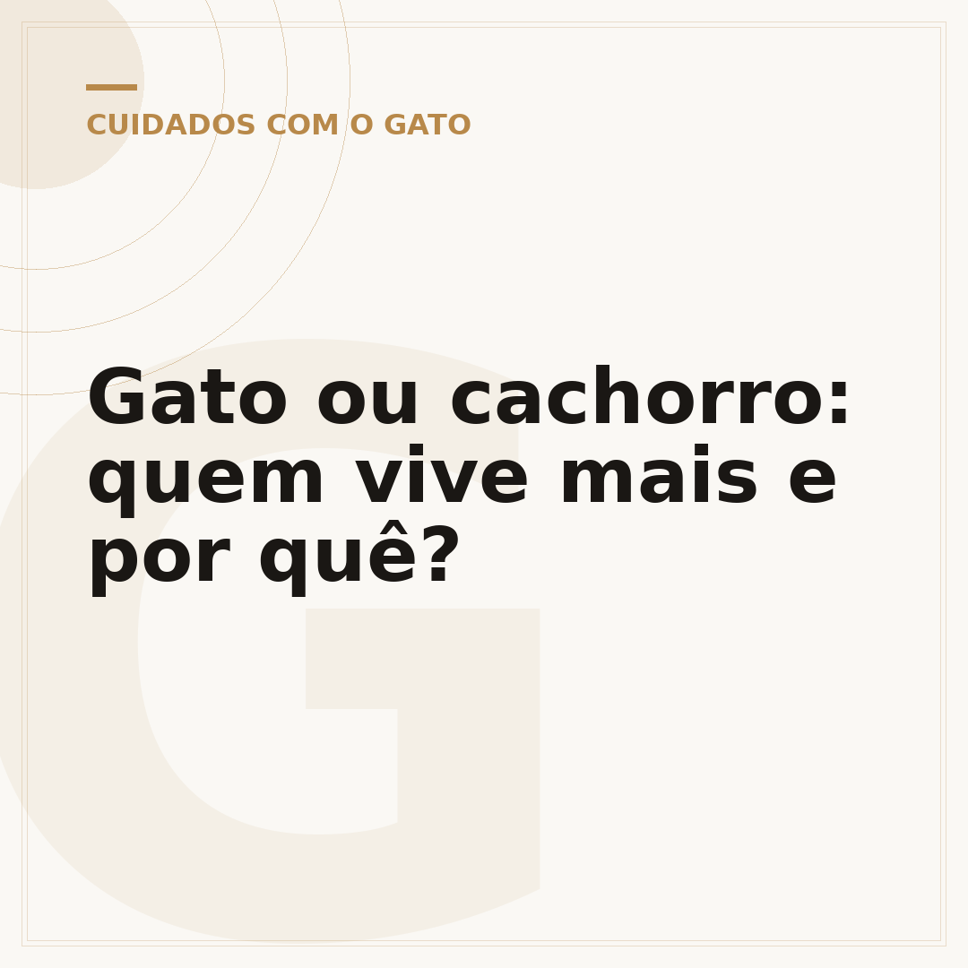 Gato ou cachorro: quem vive mais e por quê?