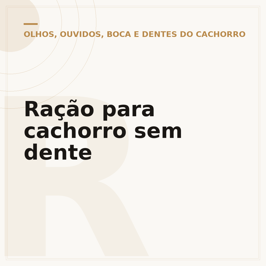 Ração para cachorro sem dente