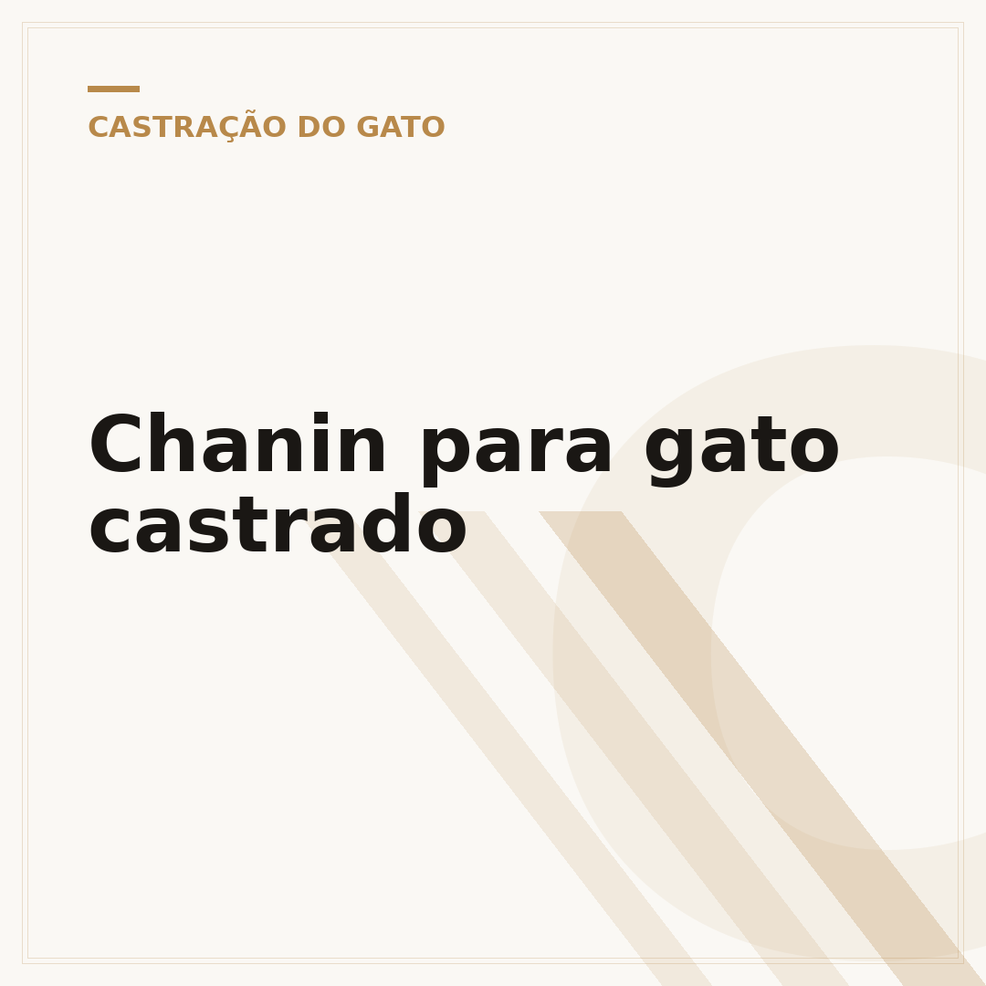 Chanin para gato castrado